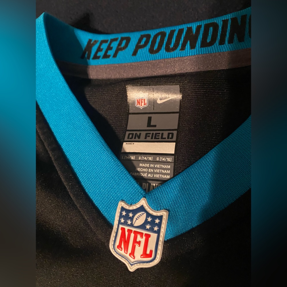 Carolina Panthers #28 Jonathon Stewart - Picture 3 of 7
